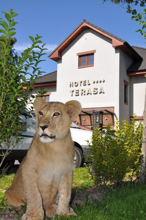 Hotel Terasa Frydek-Mistek Luaran gambar